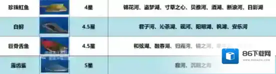 创造与魔法摆件