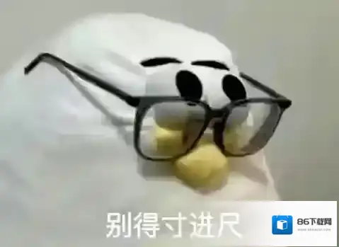 梗百科海鸥