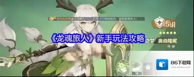 龙魂旅人零氪