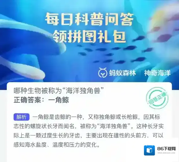 支付宝长牙