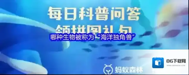哪种生物被称为“海洋独角兽”