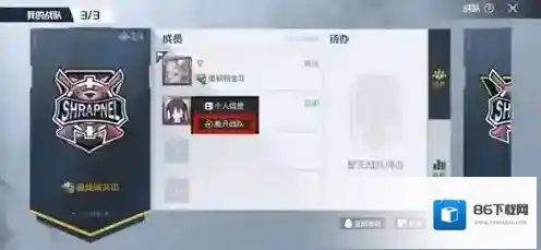 和平精英战队
