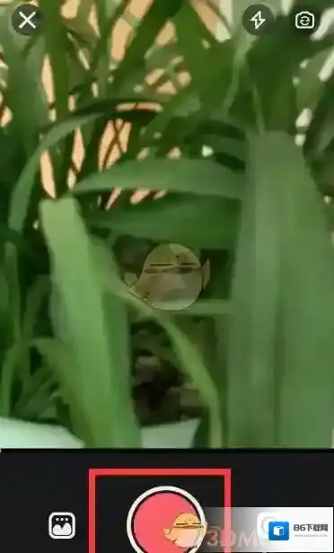 快手点击