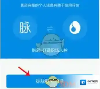 脉脉分值