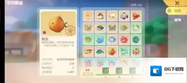 摩尔庄园手游鱼有哪些种类？摩尔庄园手游全鱼类图鉴汇总