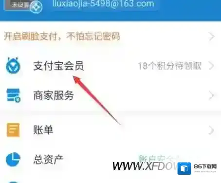 支付宝入口