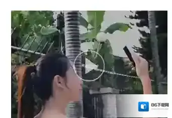 放眼直播视频