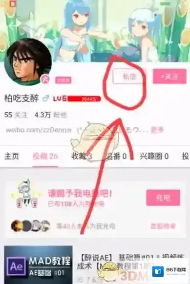 哔哩哔哩私信