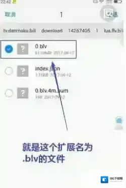 哔哩哔哩下载