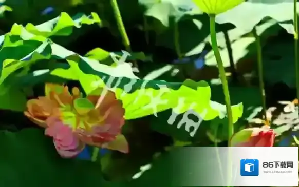 新浪微博寓意
