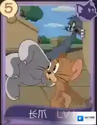 猫和老鼠知识