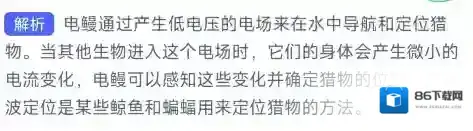 支付宝电场