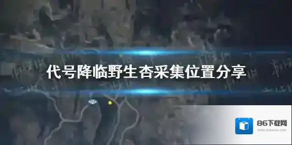 代号降临采集