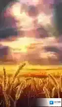 FateGo全英灵羁绊礼装一览，礼装效果介绍_贞德
