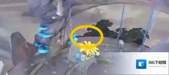 奥拉星黄圈
